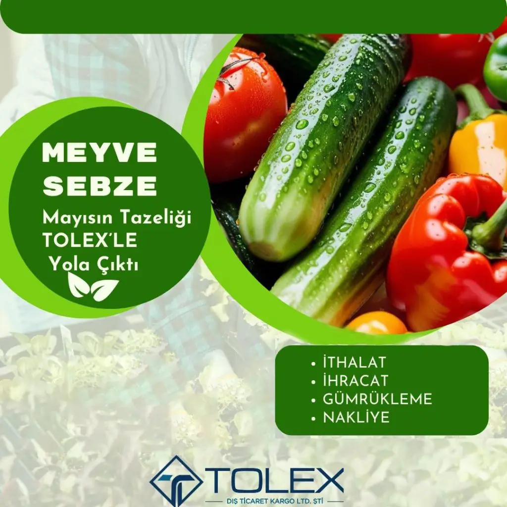 IMG 20251102 WA0025 1024x1024